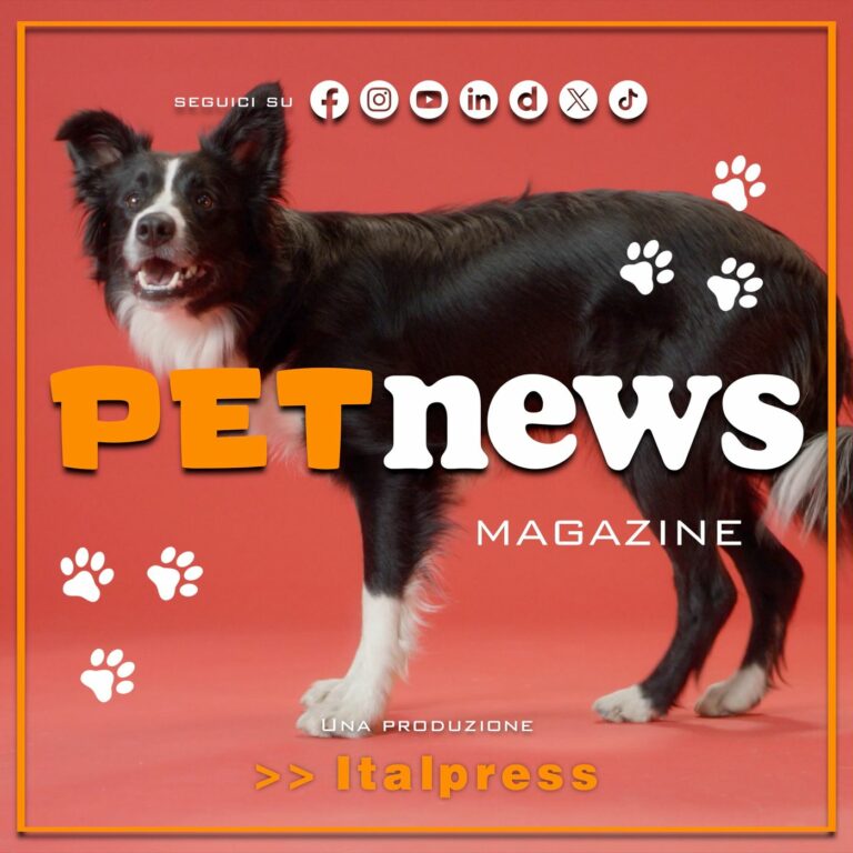 PetNews Magazine