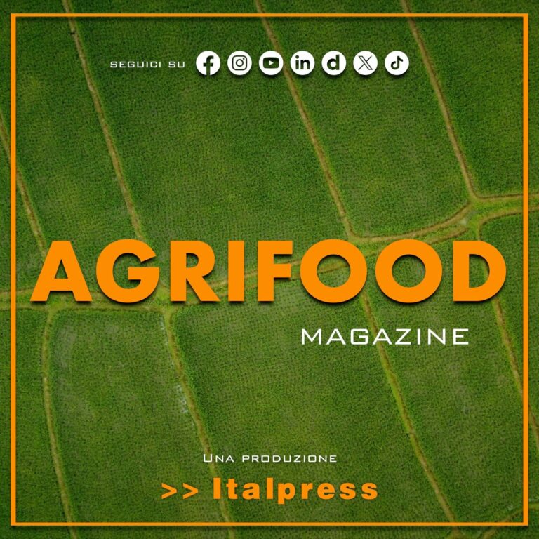Agrifood Magazine
