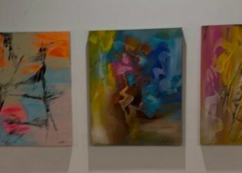 Danilo Gigante mostra ph press