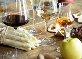 Food Wine Calice Vino Piana Rotaliana Archivio PRK ph. Iuri Niccolai