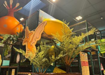 Wonderwood Dino Camp ph press2